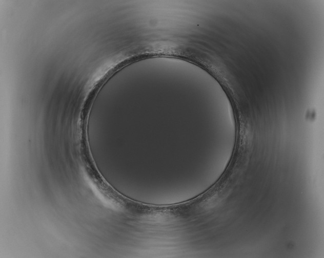 X0000112000674200908171420