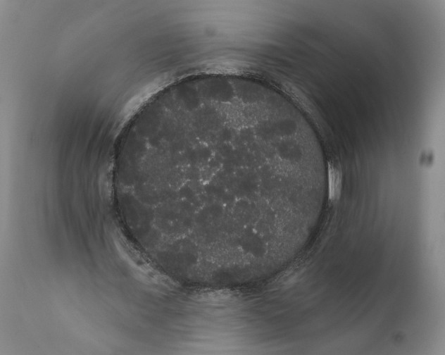 X0000112000675200908171420