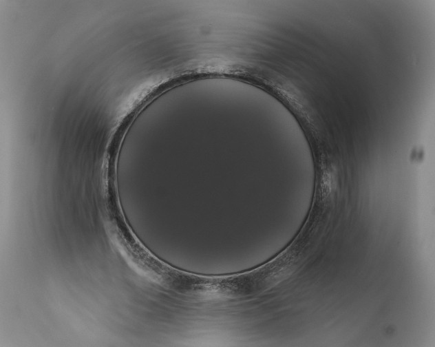 X0000112000678200908171420