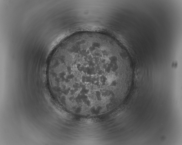 X0000112000679200908171420