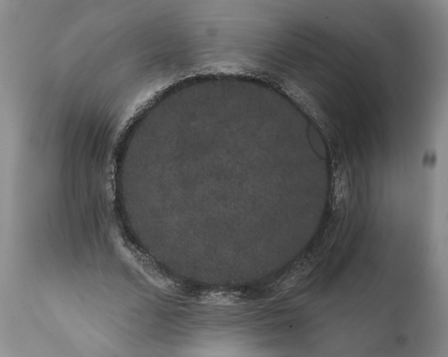 X0000112000680200908171420