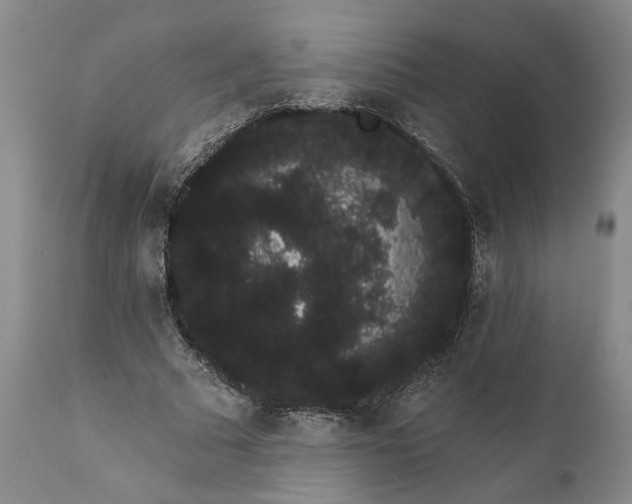 X0000112000681200908171420