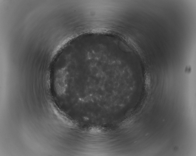 X0000112000684200908171420