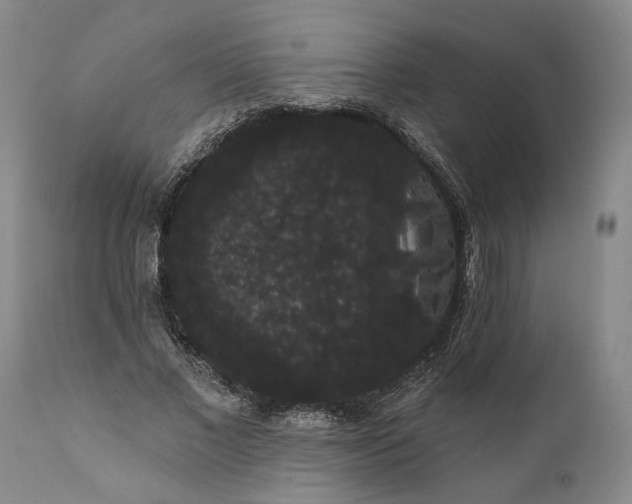 X0000112000685200908171420