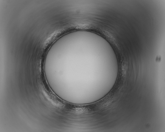 X0000112000686200908171420