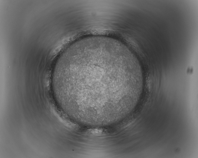 X0000112000687200908171420