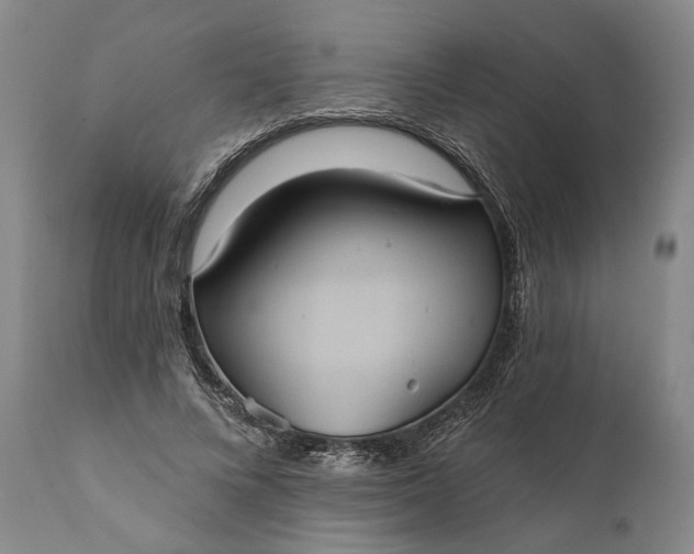 X0000112000688200908171420