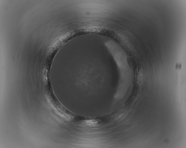 X0000112000692200908171419