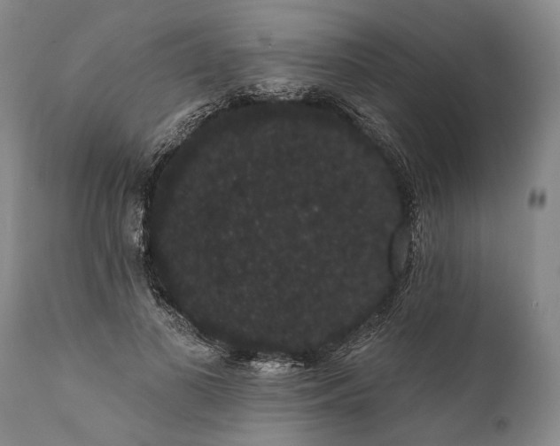 X0000112000693200908171419