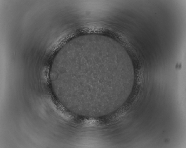 X0000112000695200908171419