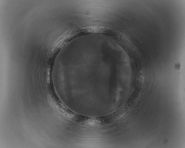 X0000112000696200908171419