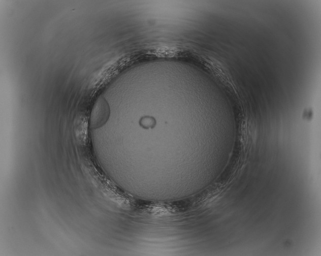 X0000112000697200908171419