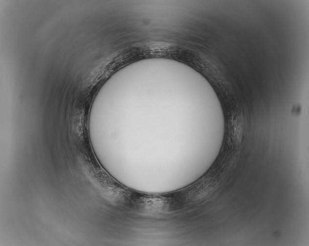 X0000112000698200908171419