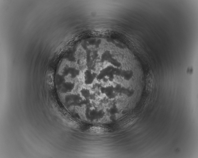 X0000112000699200908171419