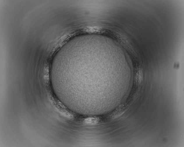 X0000112000700200908171419