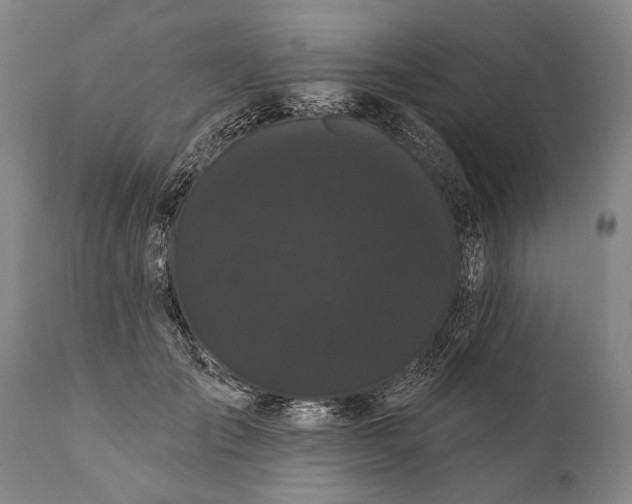 X0000112000701200908171419