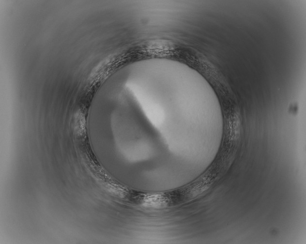 X0000112000705200908171419