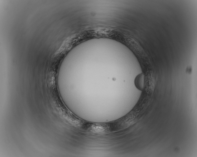 X0000112000706200908171419