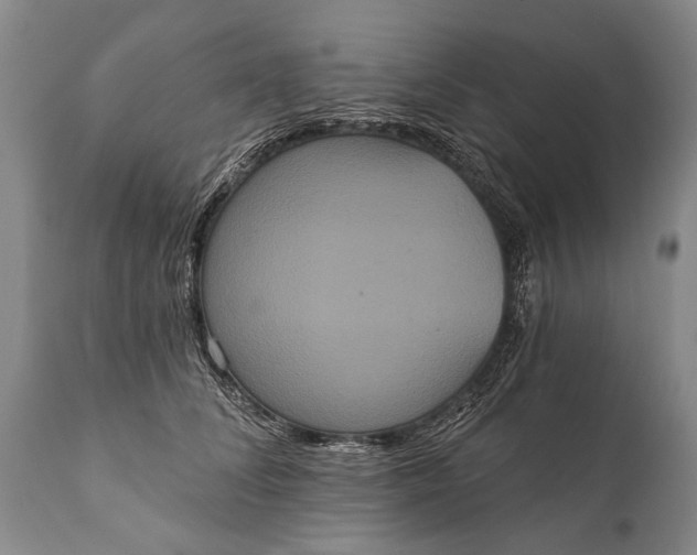 X0000112000708200908171419