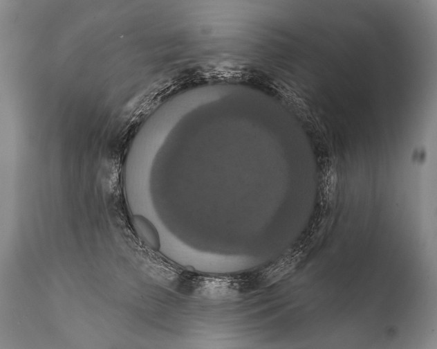 X0000112000709200908171419