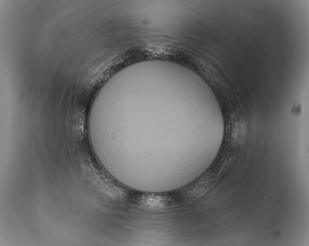 X0000112000710200908171419