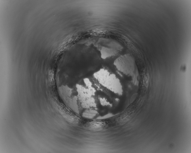 X0000112000711200908171419