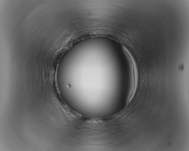 X0000112000712200908171419