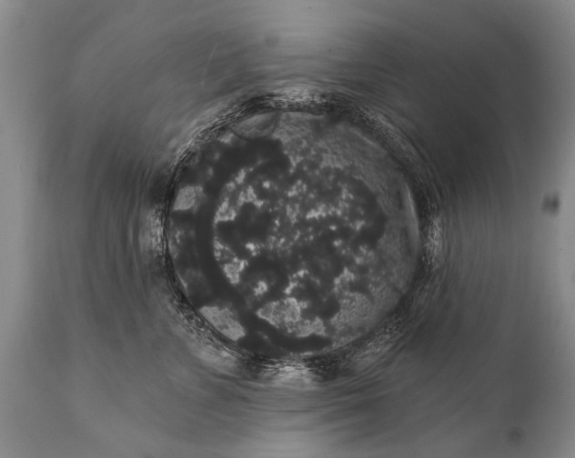 X0000112000715200908171419