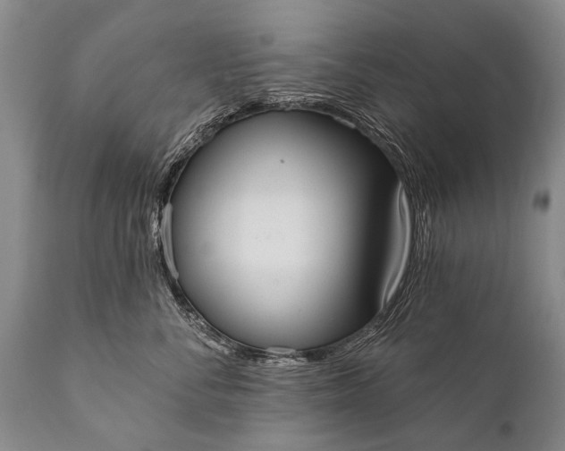 X0000112000716200908171419