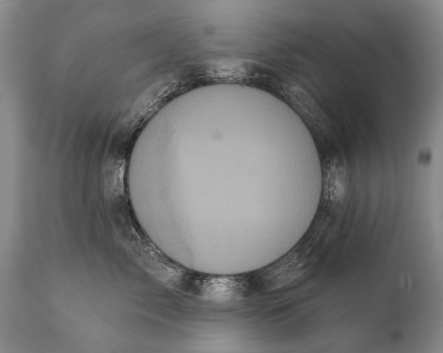 X0000112000717200908171419