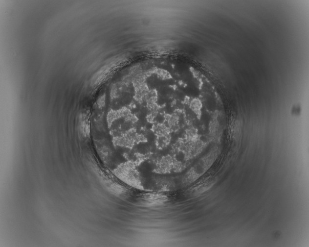 X0000112000719200908171419