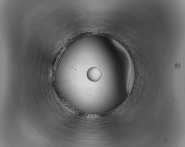 X0000112000720200908171419