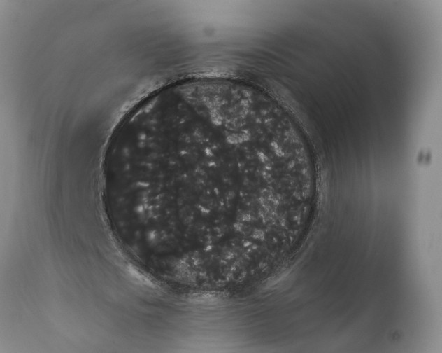 X0000112000721200908171418