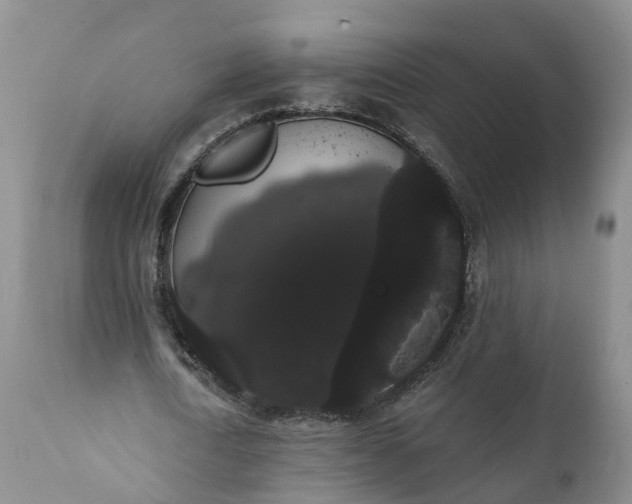 X0000112000722200908171418