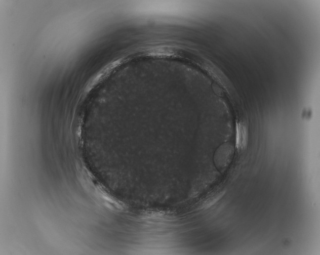 X0000112000723200908171418