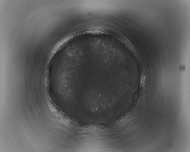 X0000112000724200908171418