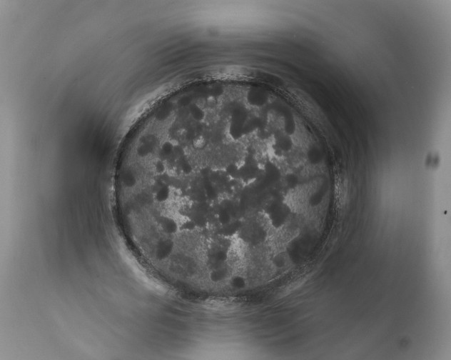 X0000112000725200908171418