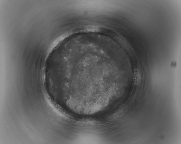 X0000112000726200908171418