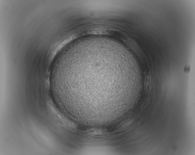 X0000112000727200908171418