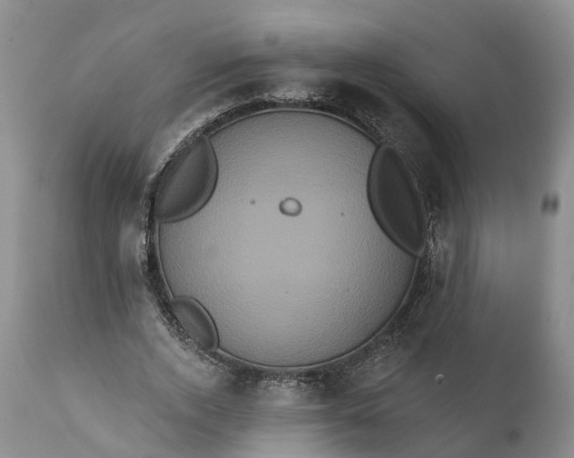 X0000112000728200908171418