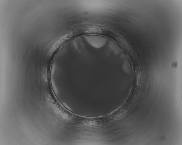 X0000112000729200908171419