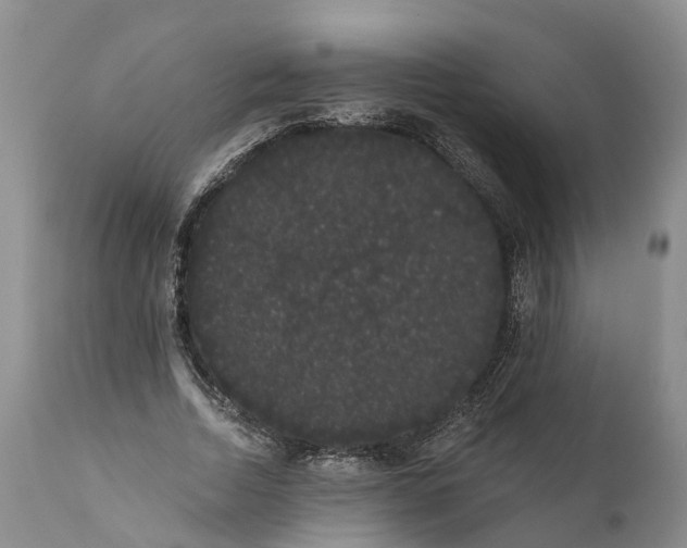 X0000112000730200908171419