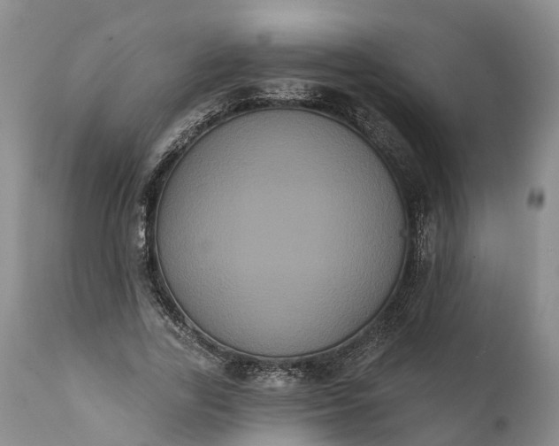 X0000112000731200908171419