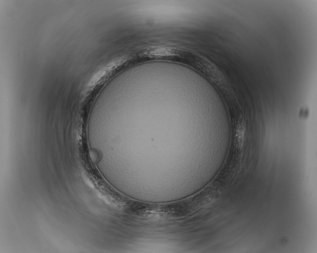 X0000112000732200908171419