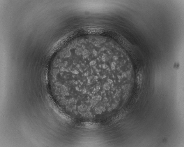 X0000112000733200908171419