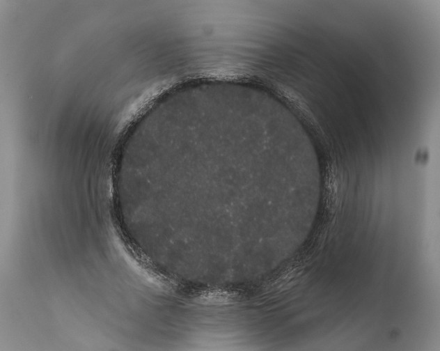 X0000112000734200908171419