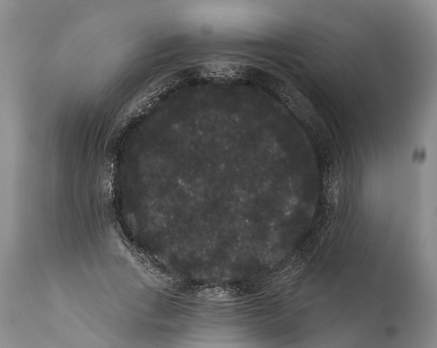 X0000112000735200908171419