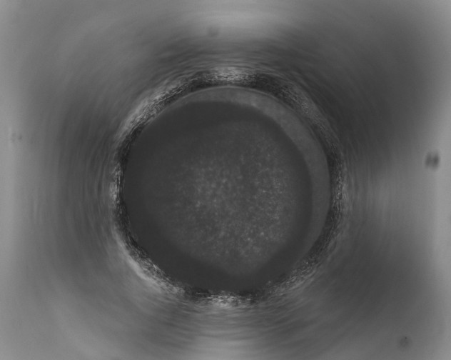 X0000112000736200908171419