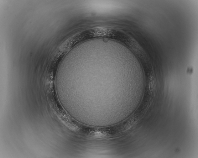 X0000112000737200908171419