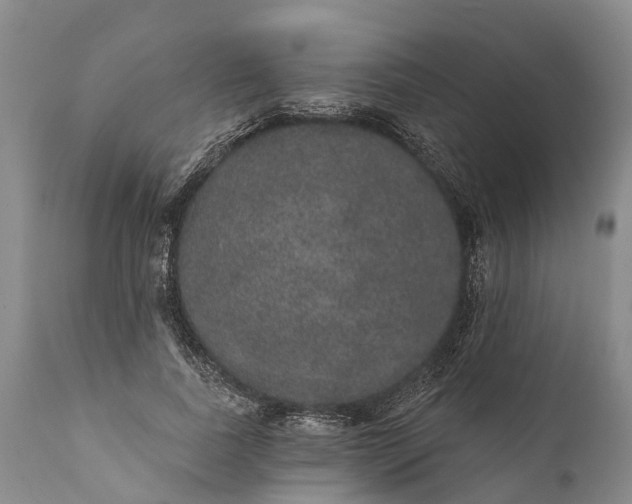 X0000112000739200908171419